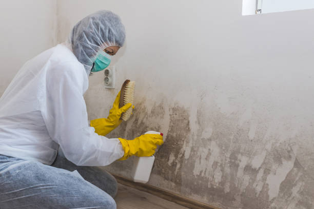 Water Damage Restoration in Tomball, TX