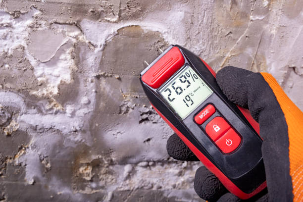 Best Fast Mold Removal  in Tomball, TX