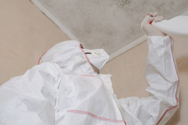 Best Affordable Mold Removal  in Tomball, TX