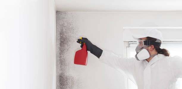 Trusted Tomball, TX Mold Removal Experts